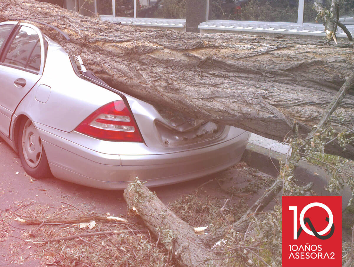 Caso de éxito de Asesora2 en una indemnización por caída de árbol sobre coche